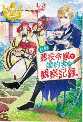 麻花传剧mv观看图鉴中的工具表格卡片封面